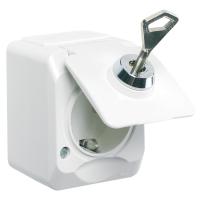 Wall socket with lock, Schneider Electric