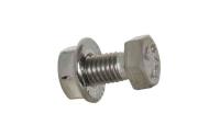 Mounting screw